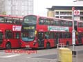 Arriva London North DW303 on Route 149