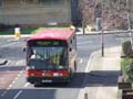 London Central DML12 on Route 244