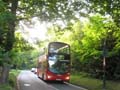 Arriva London South DW101 on Route N159